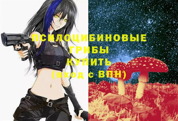 амф Абинск