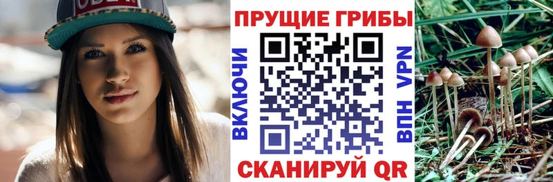 Псилоцибиновые грибы Magic Shrooms  Скопин 